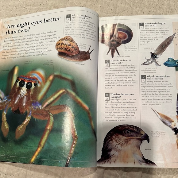 Amazing Animals Q&A- everything you never knew about the animal kingdom - Picture 4 of 10